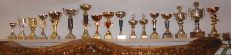 moje výstavní úspěchy